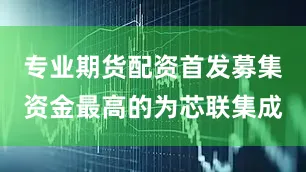 专业期货配资首发募集资金最高的为芯联集成