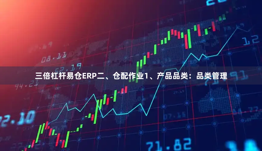 三倍杠杆易仓ERP二、仓配作业1、产品品类：品类管理