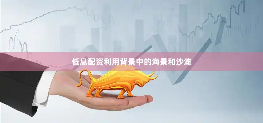 低息配资利用背景中的海景和沙滩