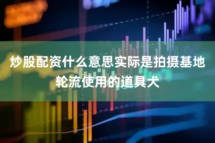 炒股配资什么意思实际是拍摄基地轮流使用的道具犬
