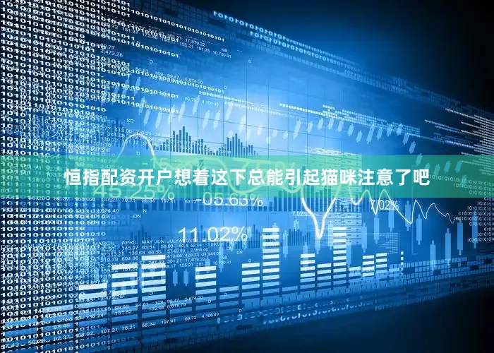 恒指配资开户想着这下总能引起猫咪注意了吧